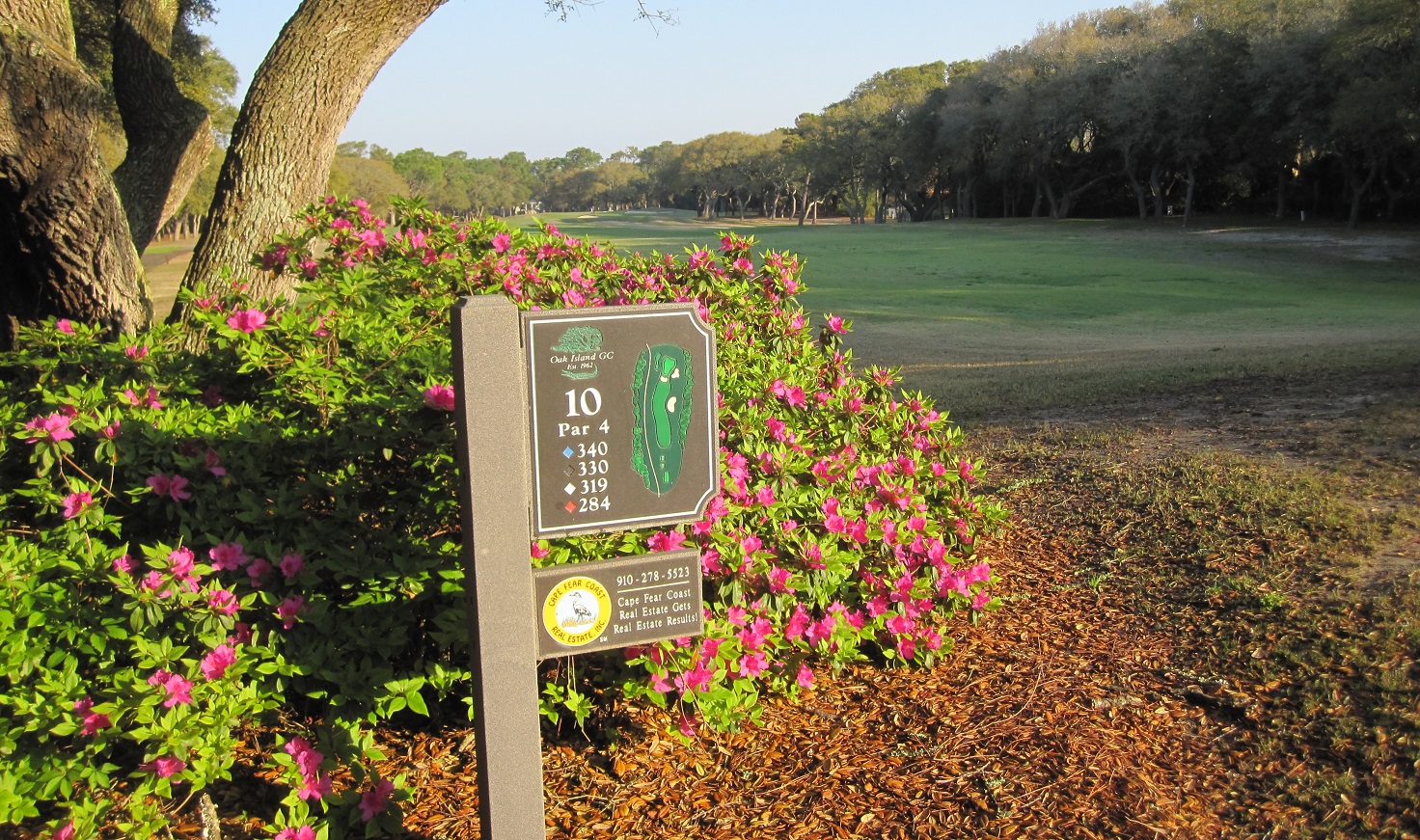 Oak Island Golf Course photo 